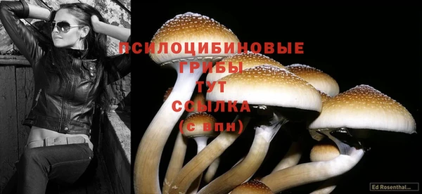 MDMA Михайловск