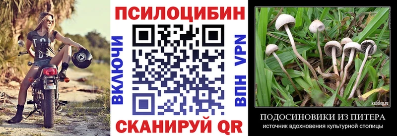 Псилоцибиновые грибы Psilocybe  Купить  Кировград 